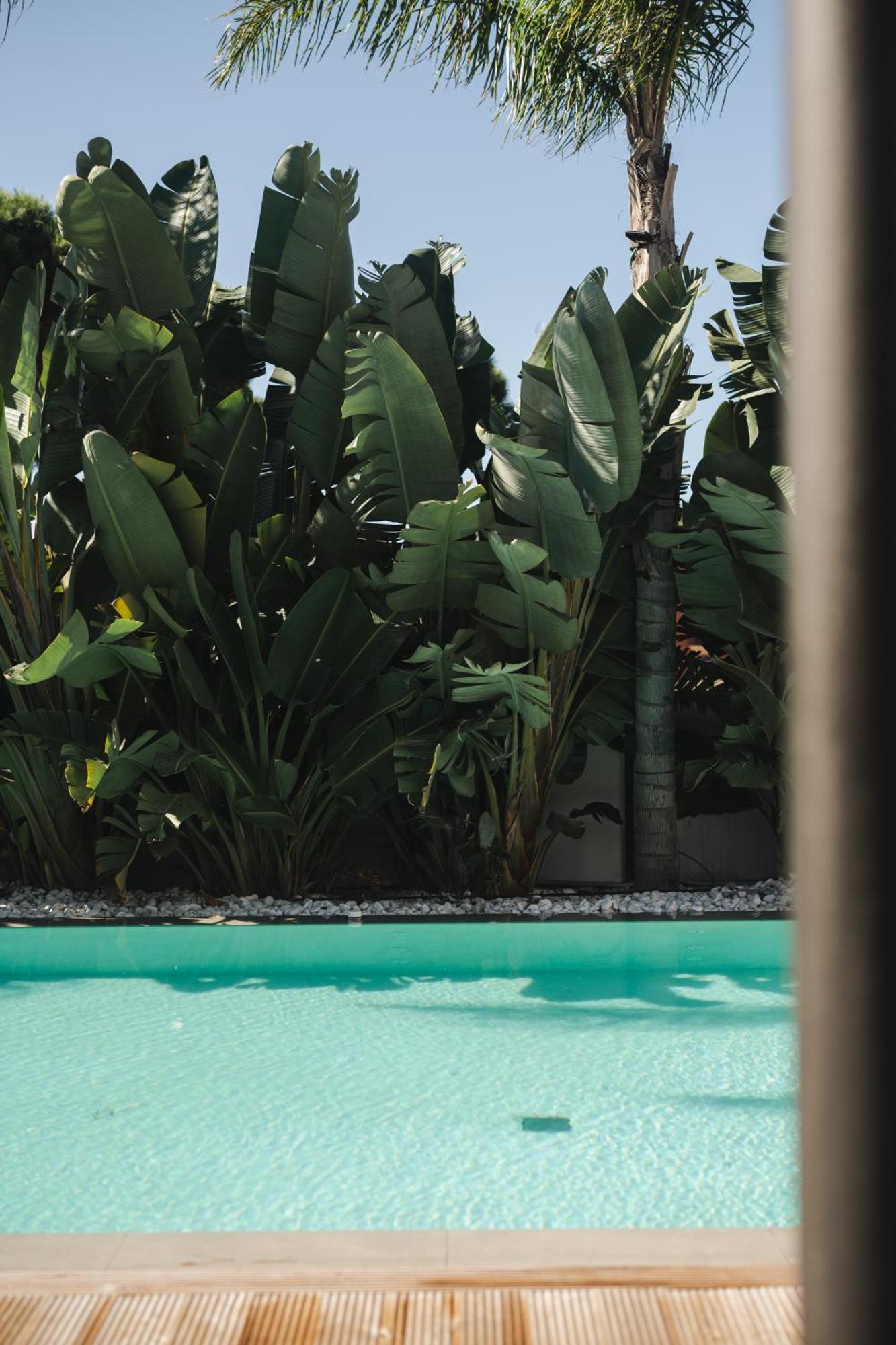 Casa Cuatro Boutique Hotel - Adults Recommended Novo Sancti Petri Exterior foto